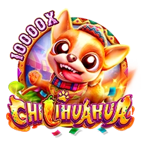 CHILIHUAHUA - MG138