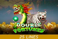 Double Fortunes - MG138