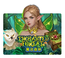 Enchanted Forest - MG138