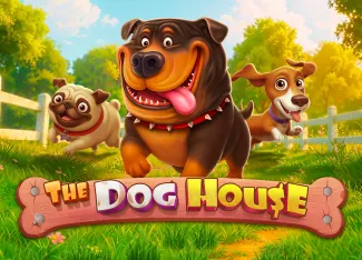 The Dog House - MG138